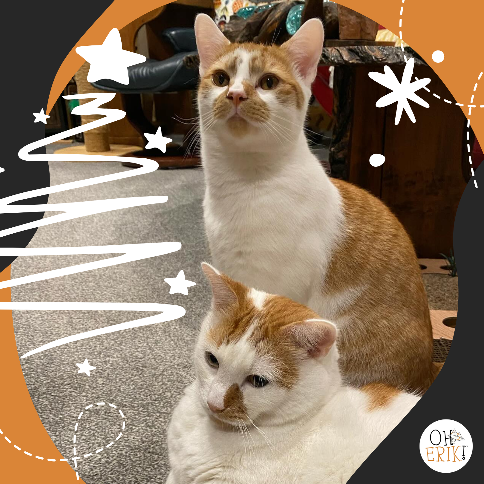 Meow-y Christmas! Celebrating the Holidays with Erik and Ernie