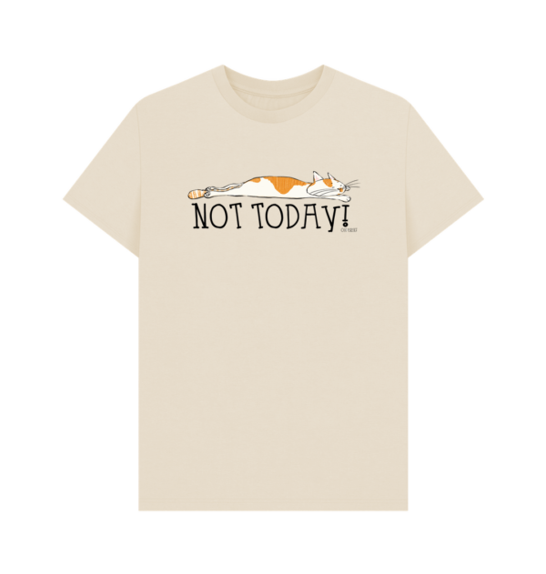 Oh Erik - Not Today - Men's Organic Cotton T-shirt